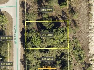 305 Naples Ave S, Lehigh Acres, FL 33974