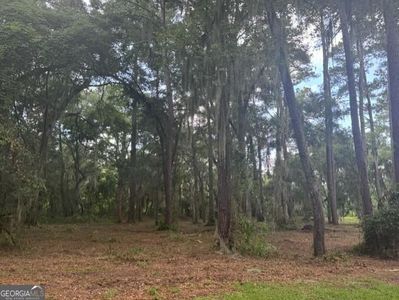 0 Old Cane Mill Dr SE LOT 6, Darien, GA, 31305