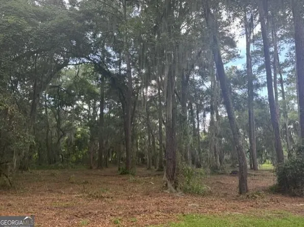 0 Old Cane Mill Dr SE Lot 6, Darien, GA 31305