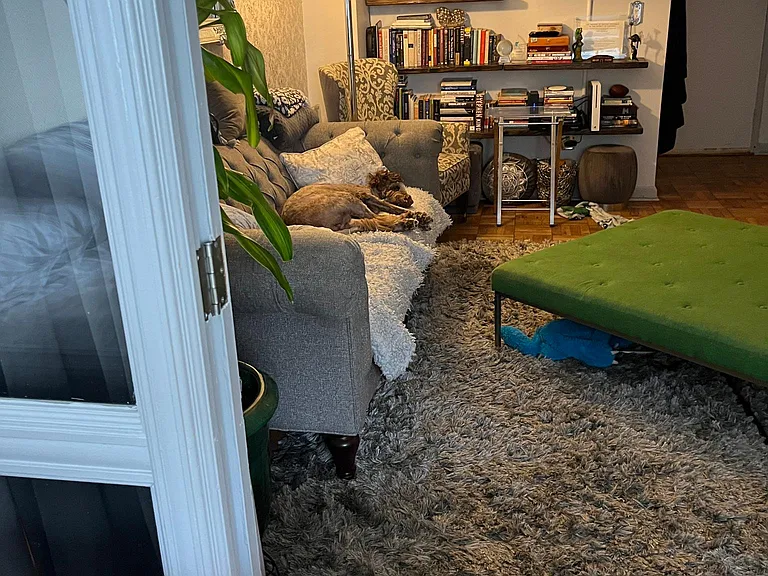 1 Scott Cir — Photo 4