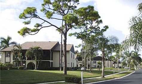 1st image of 424 Pine Glen Ln APT B-1