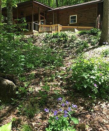 4th image of 379 Waccamaw Trl