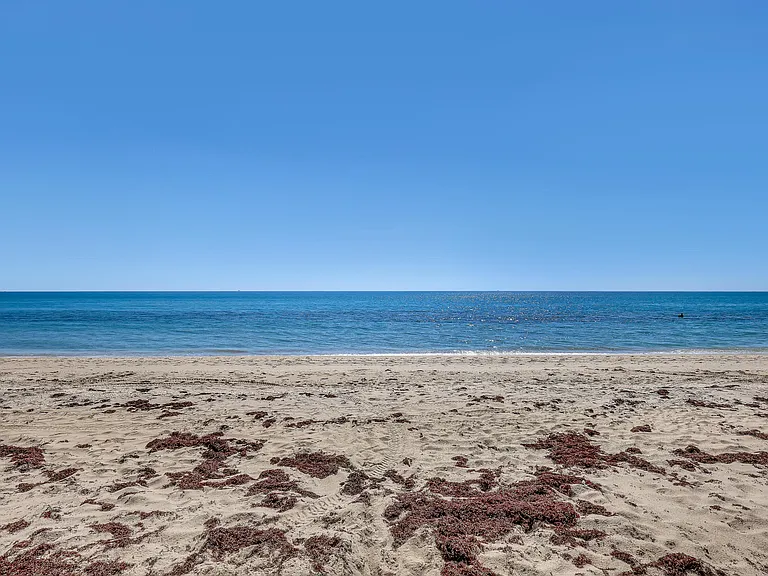 5200 N Ocean Dr #1201 — Photo 62