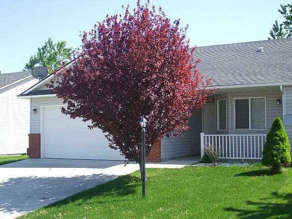 2nd image of 11795 W Blueberry Ave