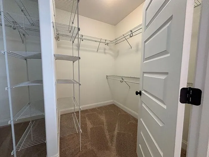 100 Middy Ln — Photo 24