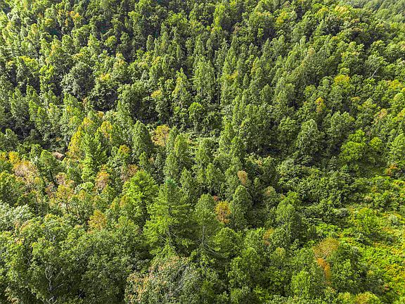 2nd image of 1397 Lick Creek Rd