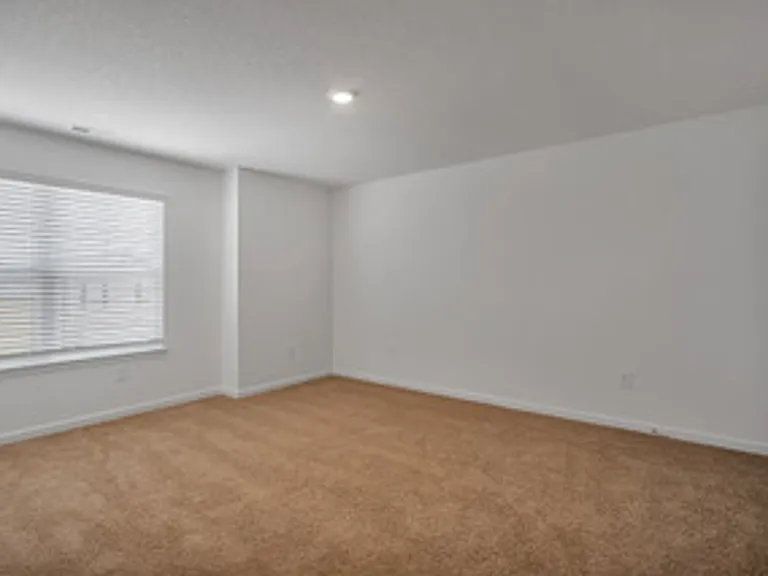 1025 Curly Top Ln — Photo 24