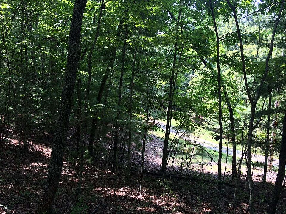 1st image of Birchwood Trl Lot 5