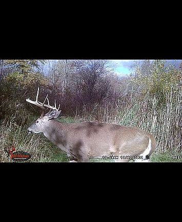 2nd image of 5833 Youngstown Kingsville Rd