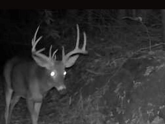 4th image of Tbd Cherry Creek Rd