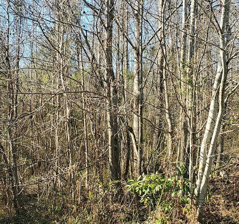 1st image of Ponderosa Dr