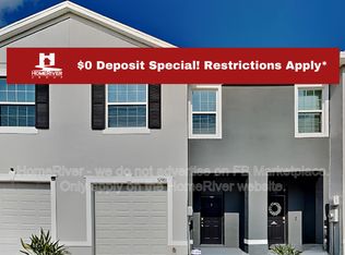 32981 Kaloko Rd, Wesley Chapel, FL 33543
