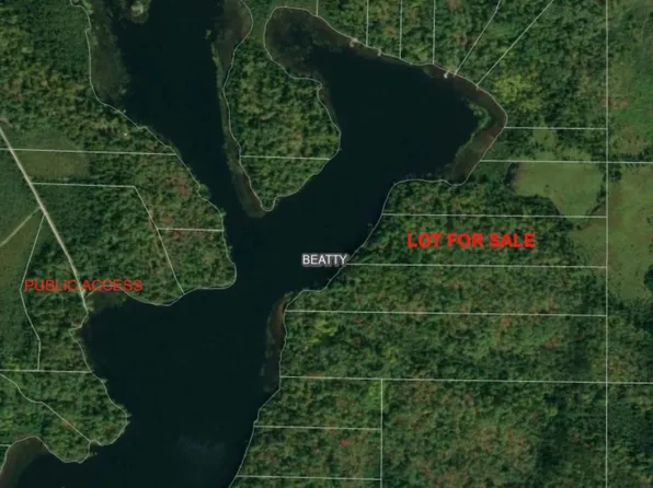 N Elbow Lake Rd, Cook, MN 55723