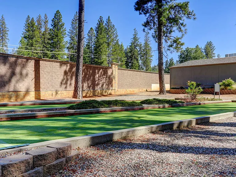 Forest Springs — Photo 13