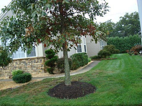 1st image of 38 Devereux Dr