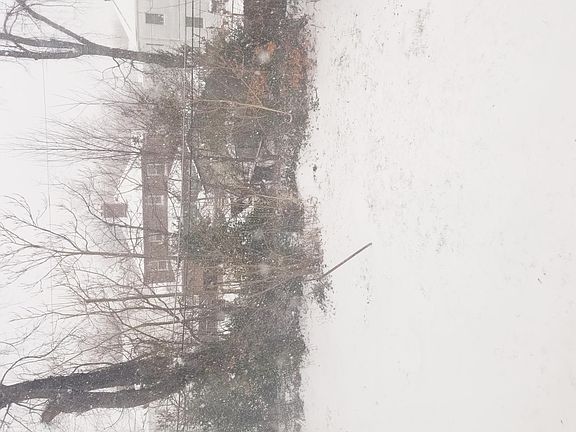5th image of 1208 S Roosevelt Dr