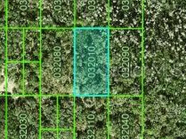 Inaccessible Tract Lot 81, Kathleen, FL 33849