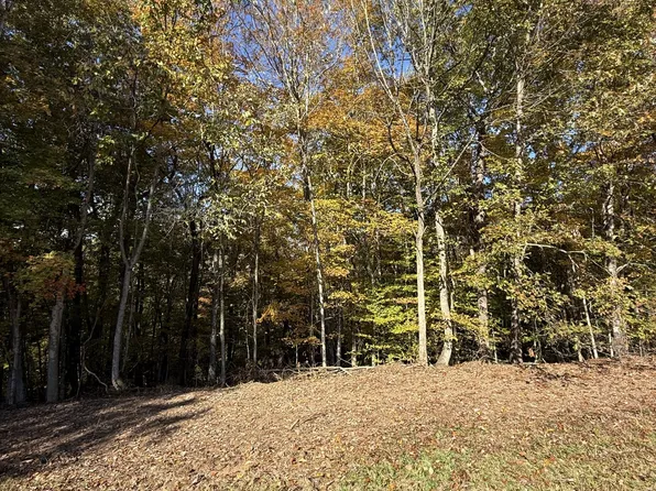 0 Collins Rd Lot 1C, Allons, TN 38541