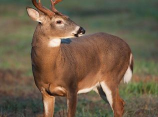 0 Teal Hollow Rd LOT 20, Kelso, TN 37348