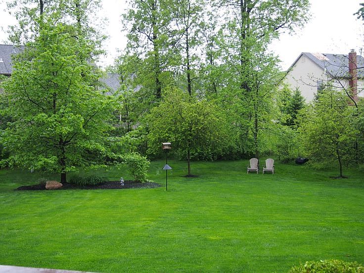 2nd image of 443 Zion Dr
