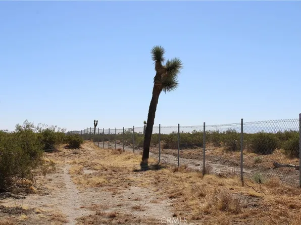 15901 Sheep Creek Rd, Phelan, CA 92371