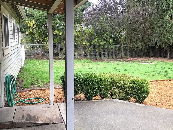 back yard