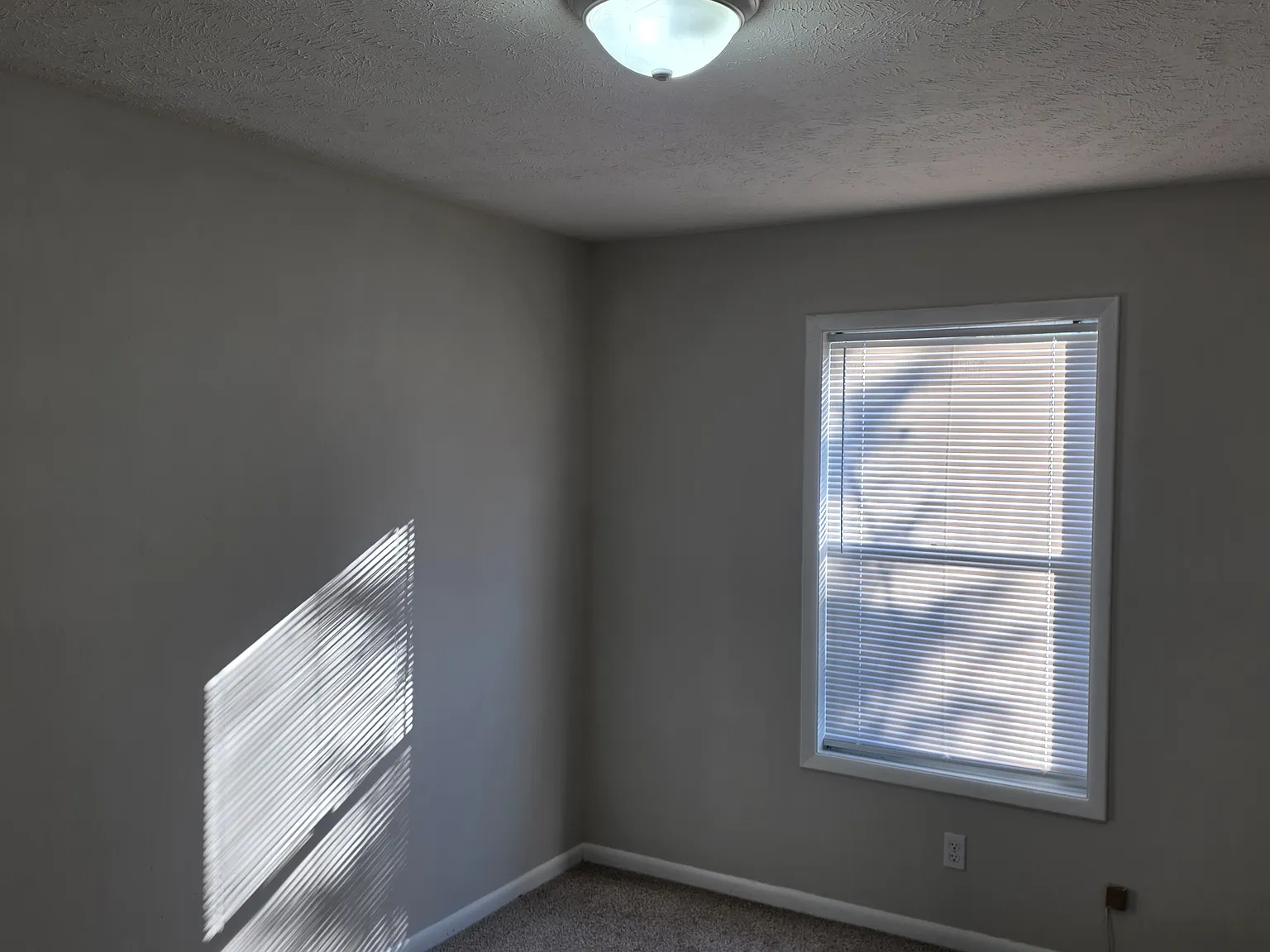 3 bed, 1068 sqft, $1,500 — Photo 2