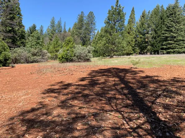 Acres 4 Copperton Rd, Camino, CA 95709