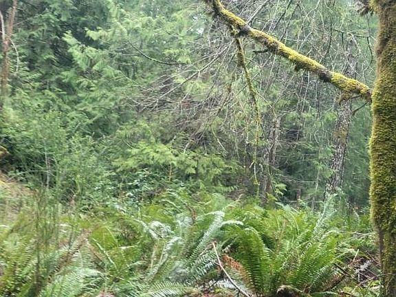 3rd image of 1 GD 2048 Rd