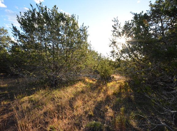 2nd image of 114 El Nopal Dr