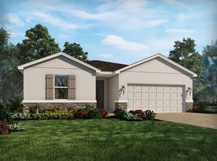 34278 Evergreen Hill Ct, Wesley Chapel, FL 33545