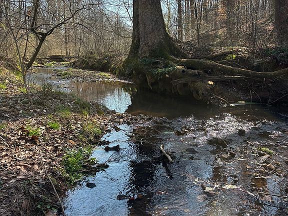 Photo Feb 28 2026 10 46 11 Am