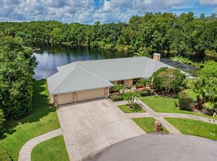 3816 Louis Cir, Tarpon Springs, FL 34688