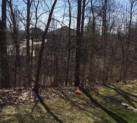 back of townhouse wooded