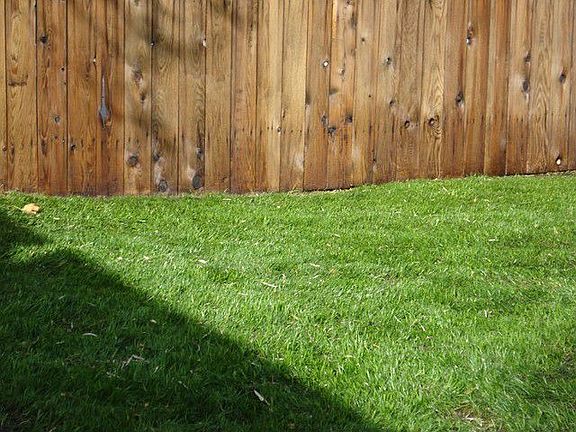 Front Yard & Treated Fence