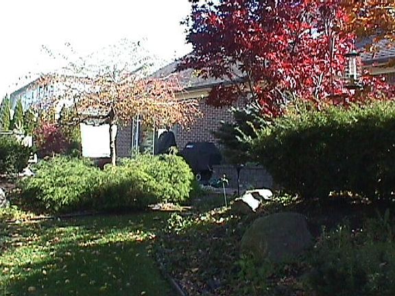 Back View