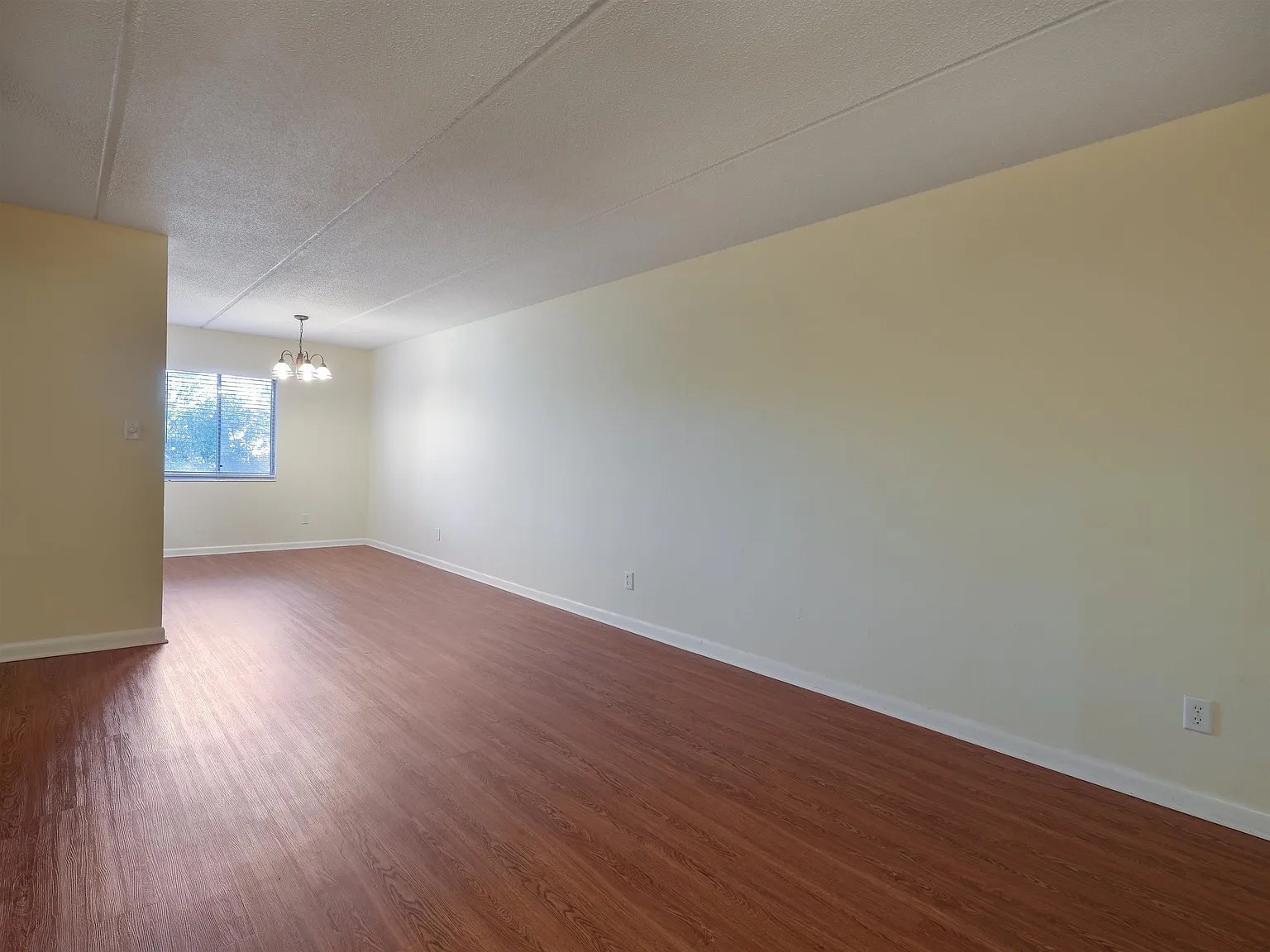 2 bed, 1.0 bath, 950 sqft, $1,300 — Photo 3