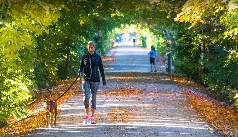 Monon Trail