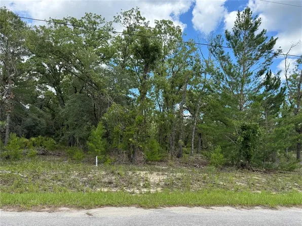 0 Malauka Trail Crse Lot 4, Ocklawaha, FL 32179