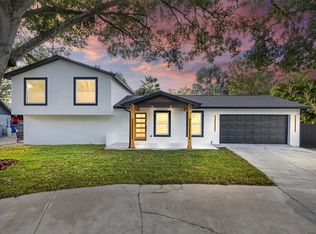 13824 Cherry Brook Ln, Tampa, FL 33618