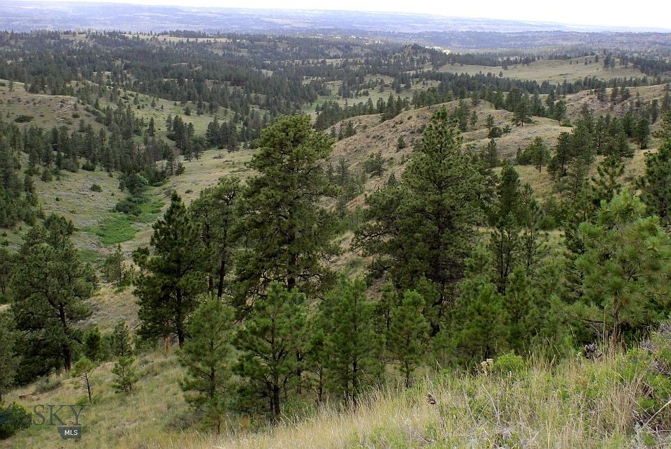 Nhn Bear Crk, Hysham, MT 59038 MLS 389232 Zillow