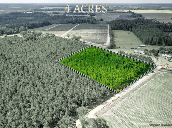 0 County Farm Rd, Blackshear, GA 31516