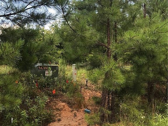 5th image of 2166 Tbd Lee Rd