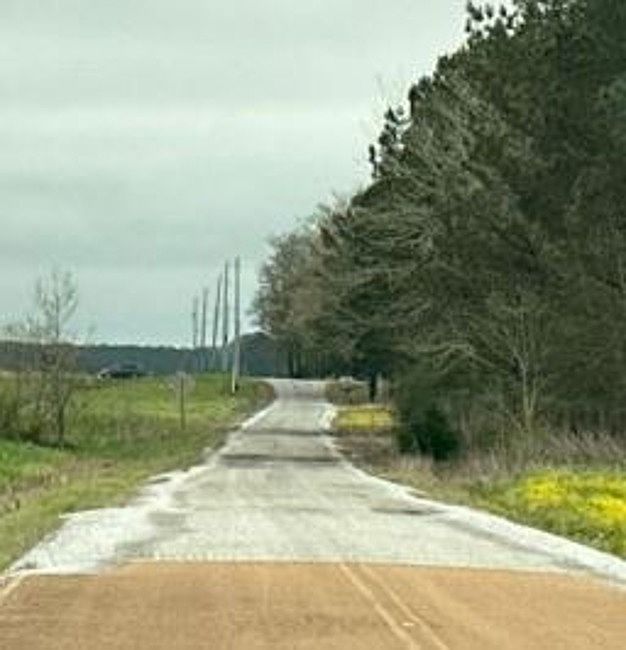 Exterior Neighborhood (street photo)