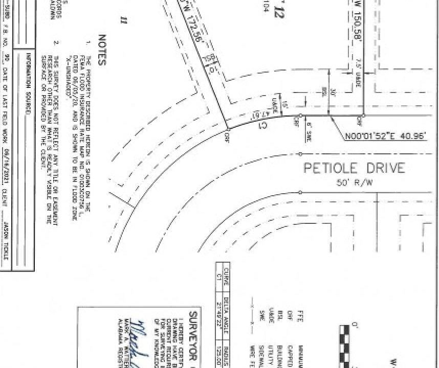 2nd image of Petiole Dr #12