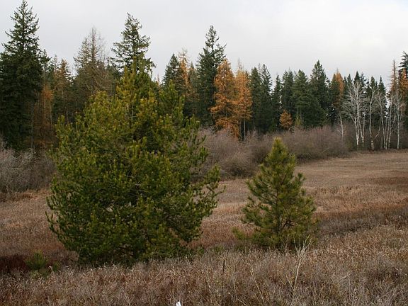 3rd image of 0 W Mule Deer Ln Lot 6