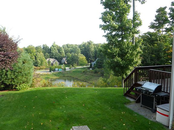 view from backyard