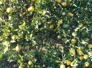 340 Witt Rd, Clewiston, FL 33440