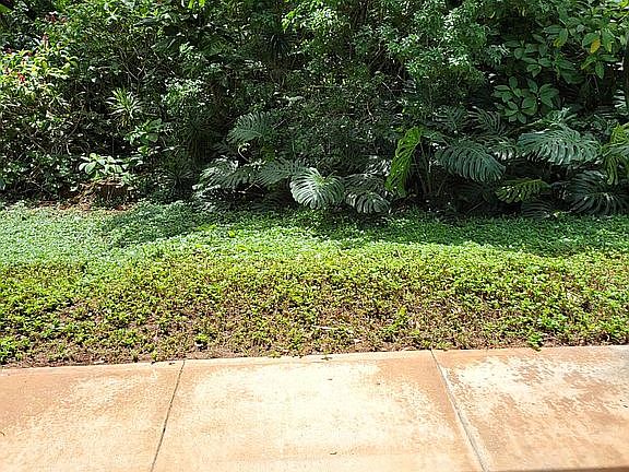 3rd image of 99-1440 Aiea Heights Dr APT 14