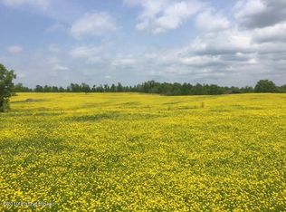 0 Knobs Rd, Battletown, KY 40104